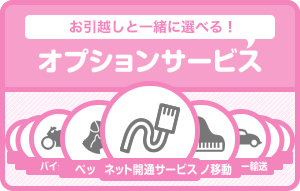 オプションサービス